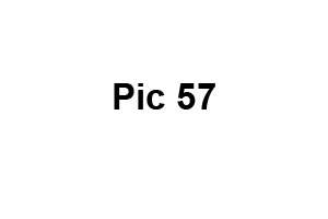 Sylvania Children Photographer